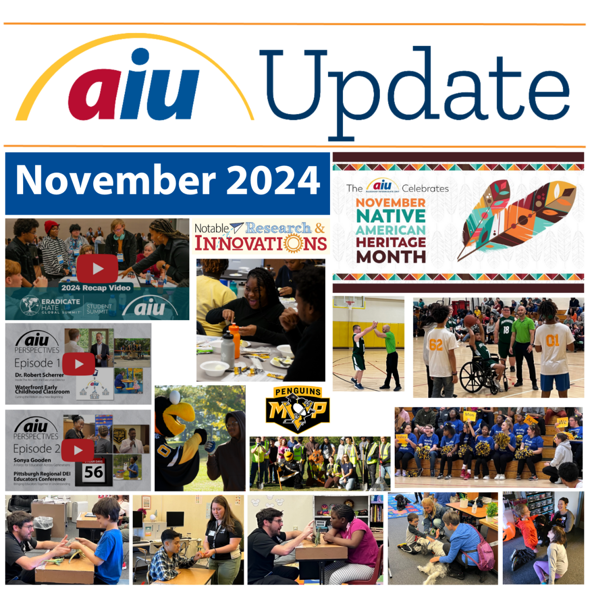 AIU Update: November 2024